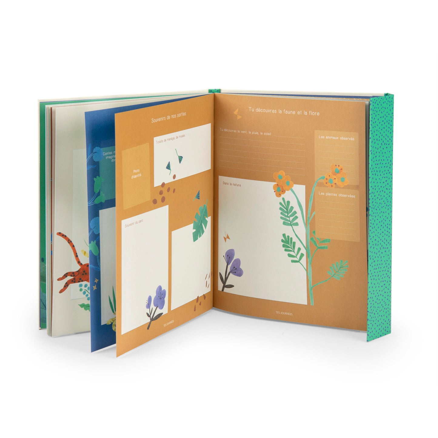 Livre de naissance - La foret Mawa