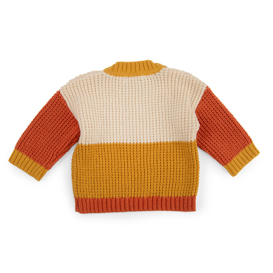 NEIL - Pull color block - La Jungle Merveilleuse