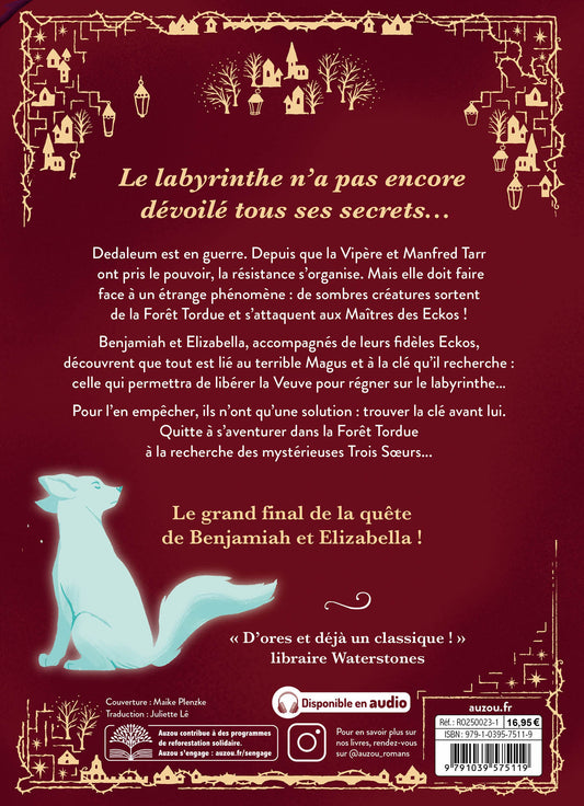 Whisperwicks - La clé de Dedaleum T3