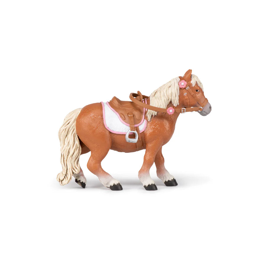 Chevaux - Poney shetland avec selle