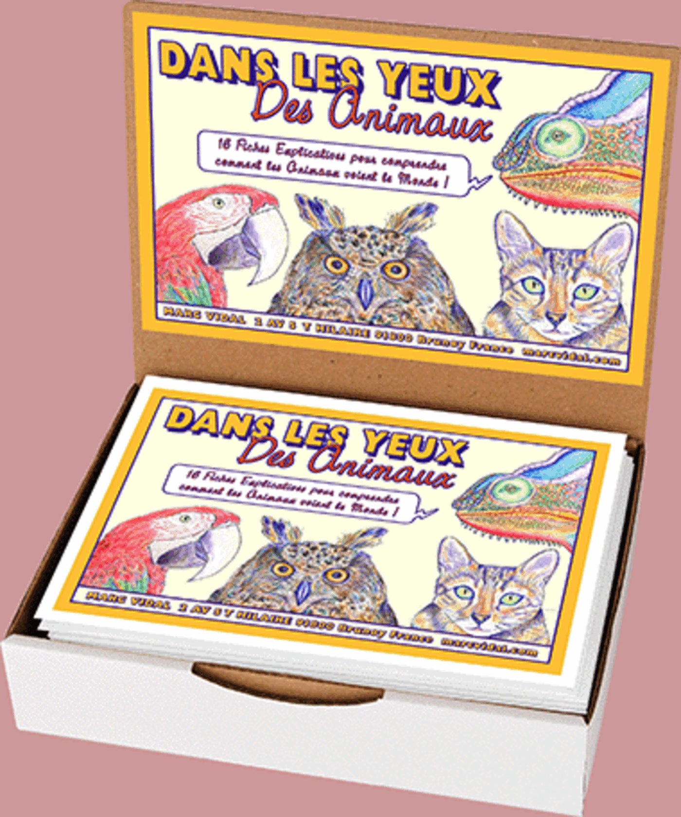Dans les yeux des animaux