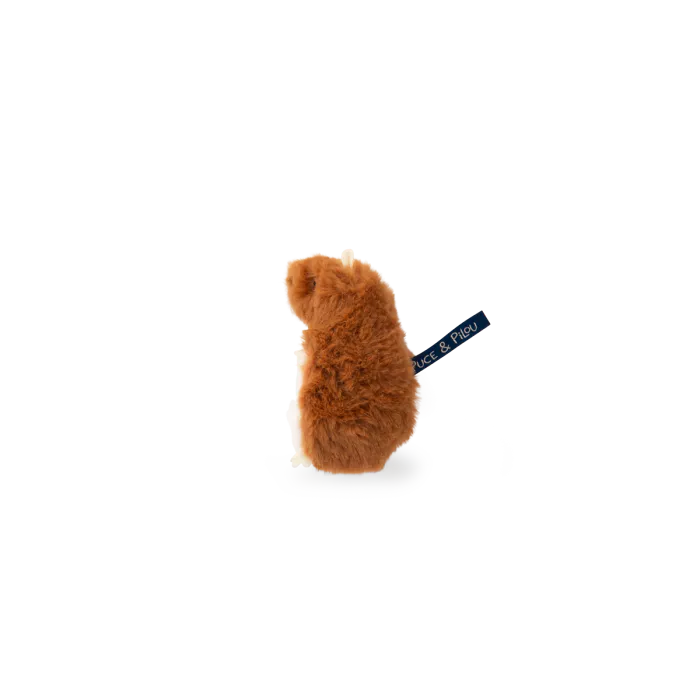 Hamster dent de lait - Puce et Pilou