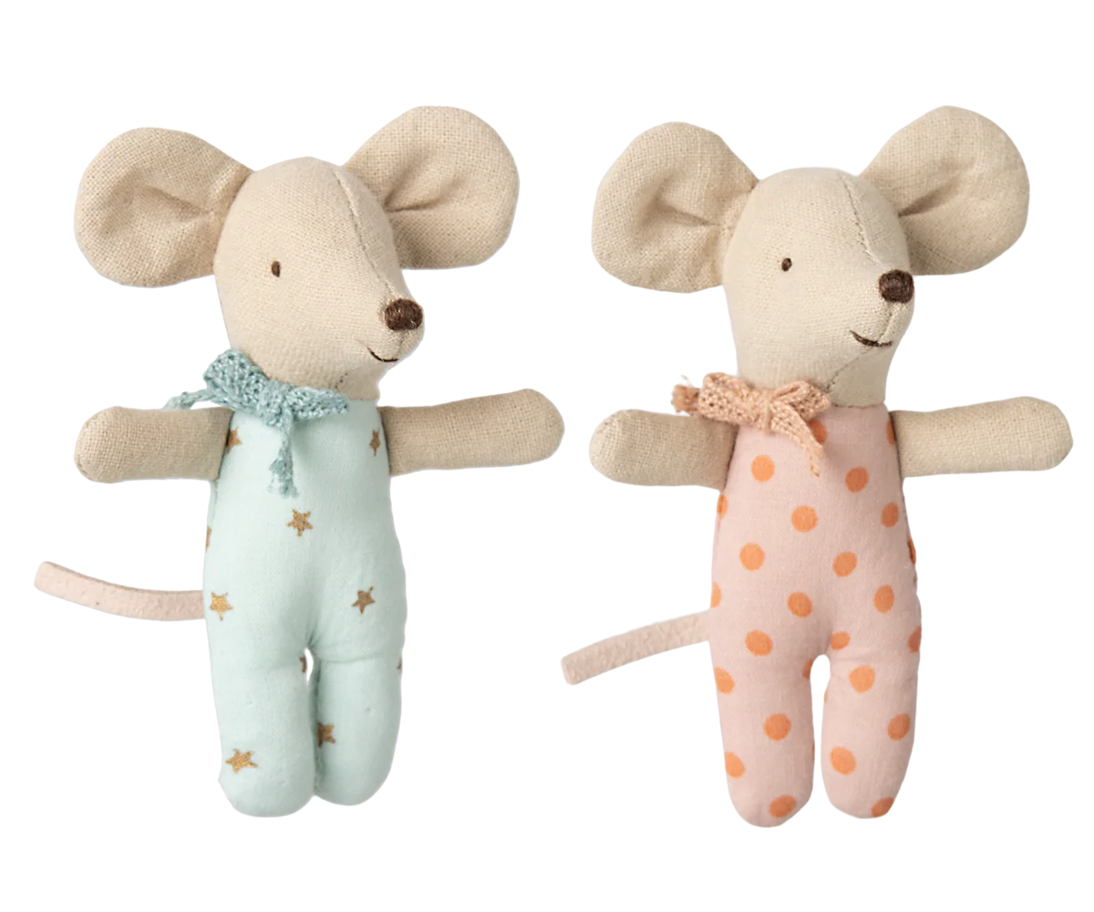 Jumeaux bébés souris dans leur boîte
