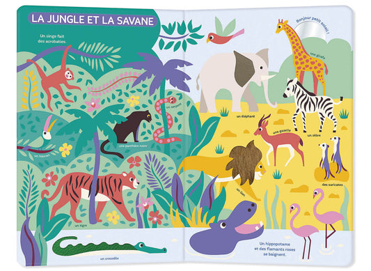 Mon très grand livre d'eveil - Autour du monde