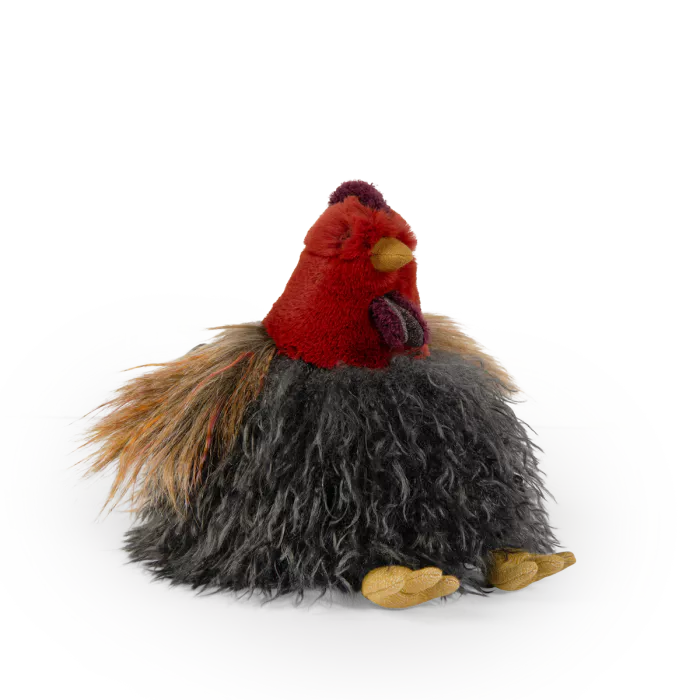 Poule - Tout autour du monde