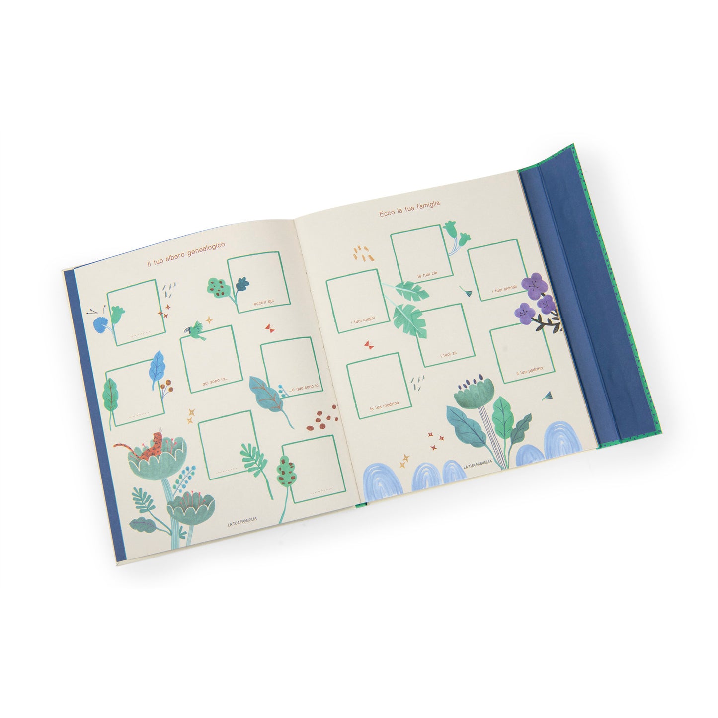 Livre de naissance - La foret Mawa