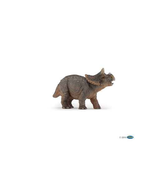 Jeune Tricératops