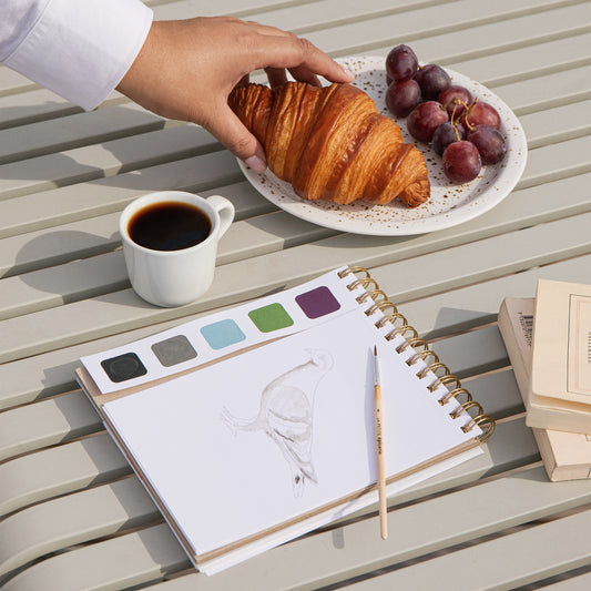 Travel Book - Spring In Paris