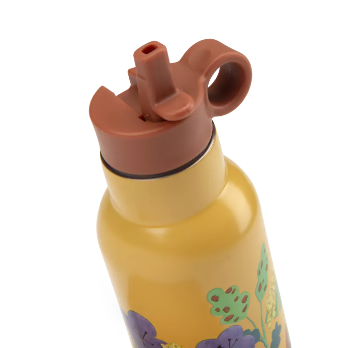 Gourde - La forêt Mawa