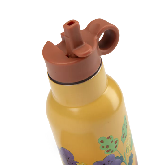 Gourde - La forêt Mawa