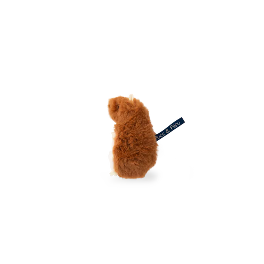 Hamster dent de lait - Puce et Pilou