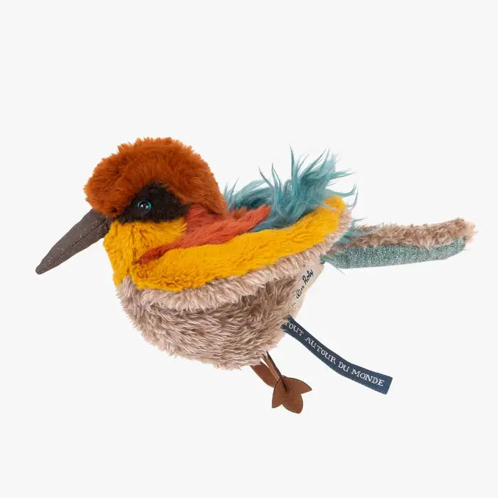 Oiseau guêpier - Tout autour du monde