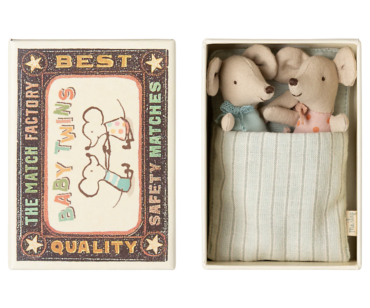 Jumeaux bébés souris dans leur boîte