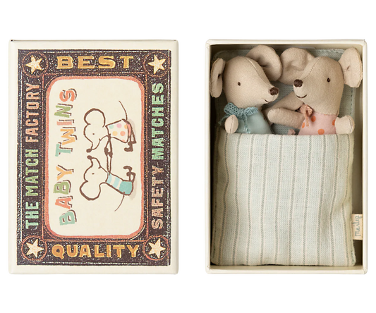 Jumeaux bébés souris dans leur boîte