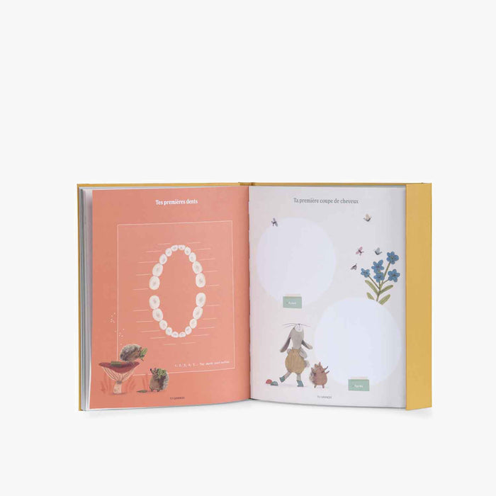 Livre de naissance - Trois petits lapins