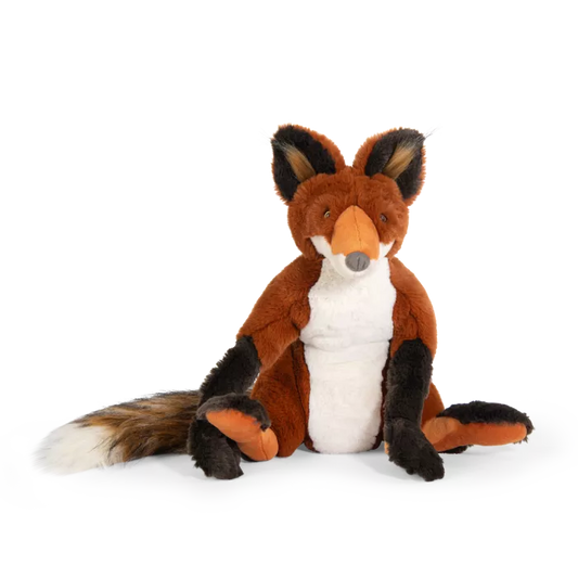 Renard - Tout autour du monde