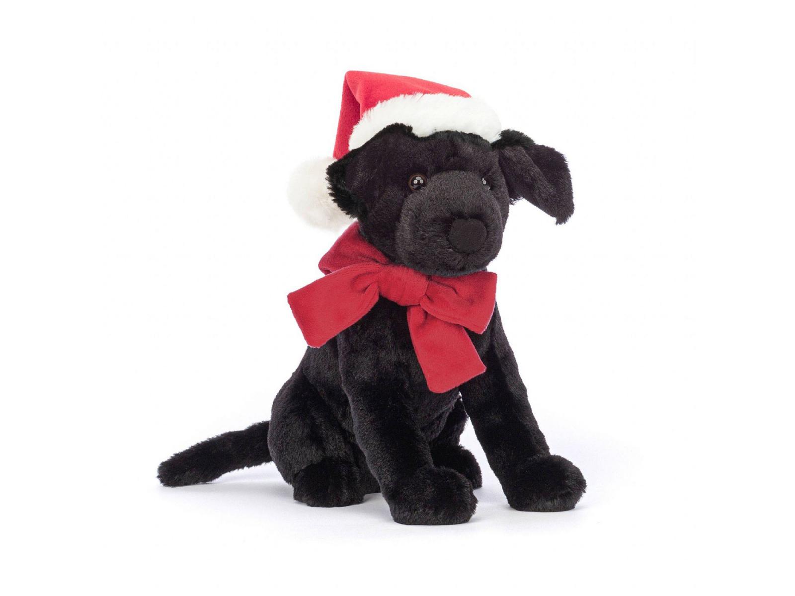Winter Warmer Pippa Black Labrador